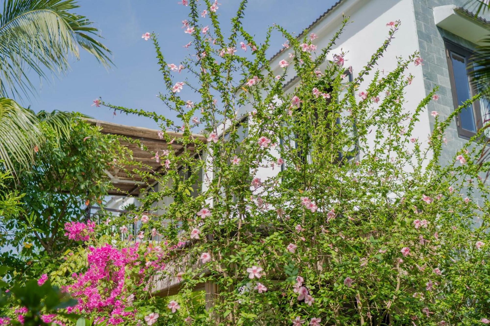 An Bang Garden Pool Villa Хой Ан Екстериор снимка